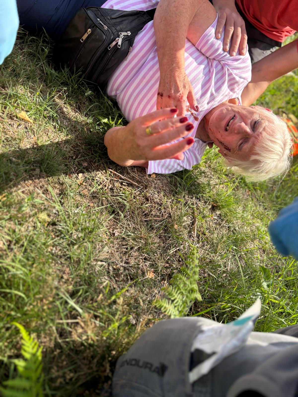 First Aid training scenarios.
