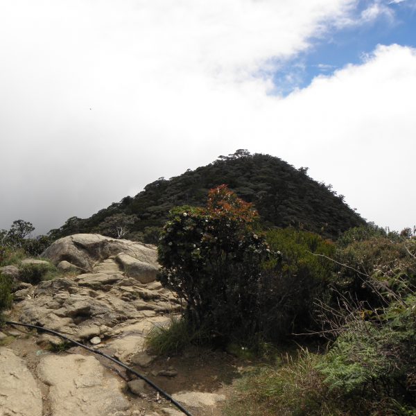 Leadership on a trek